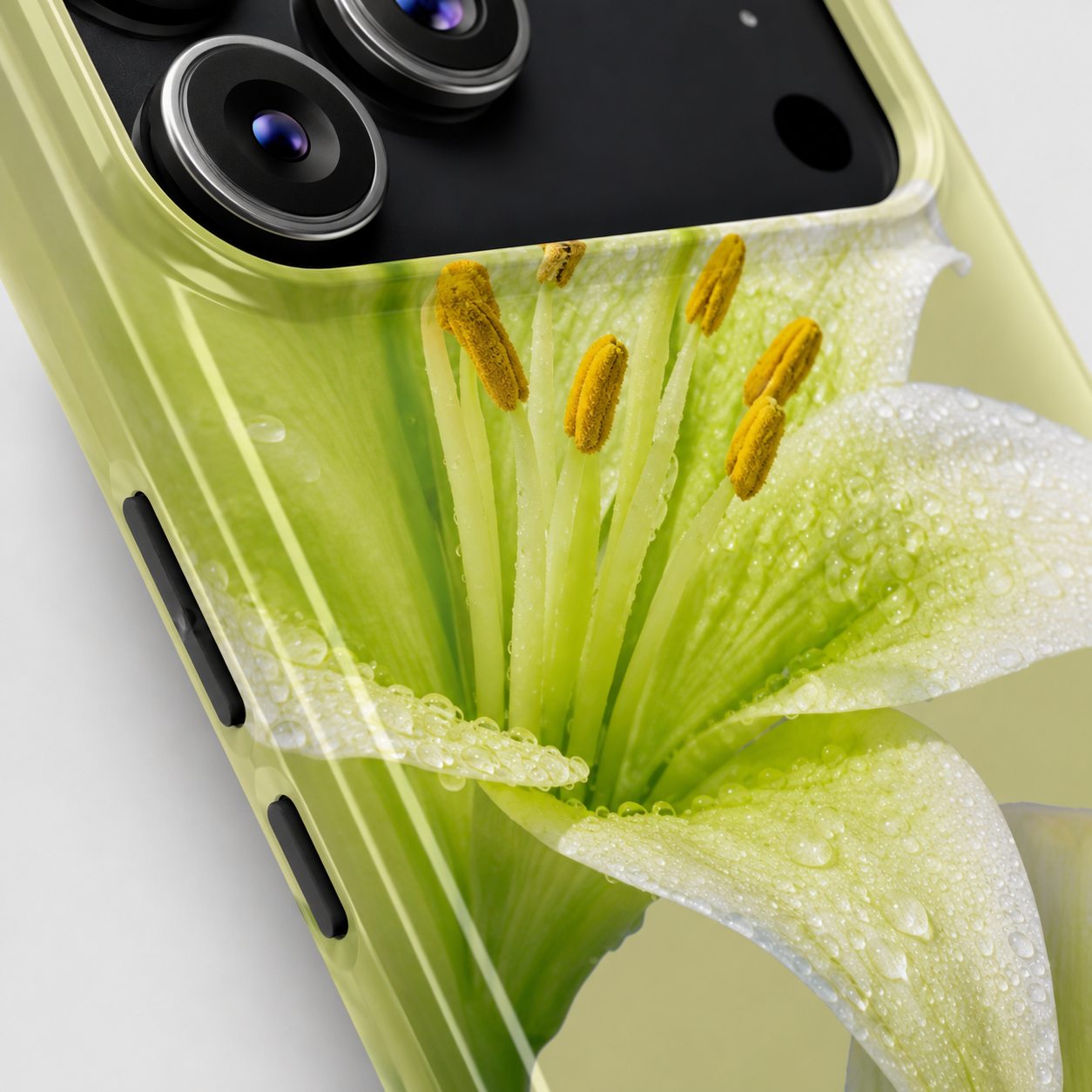 Lime Bloom